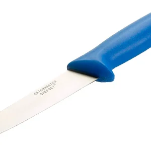 Blue 6'' Fillet Knife