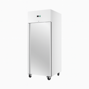Commercial Single door Upright Freezer
